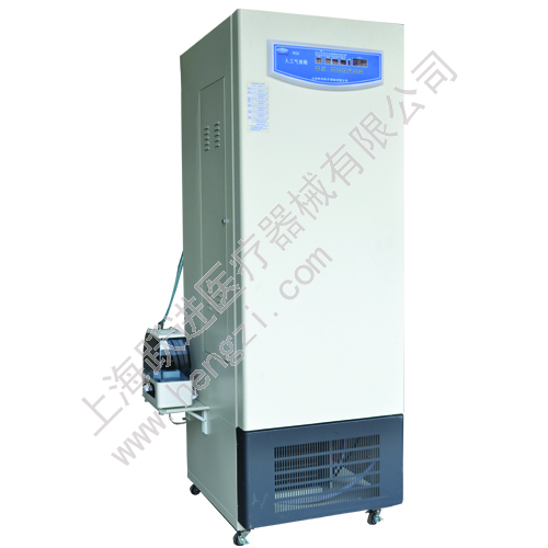 上海躍進(jìn)人工氣候箱HQH-300（老型號RQX-300）